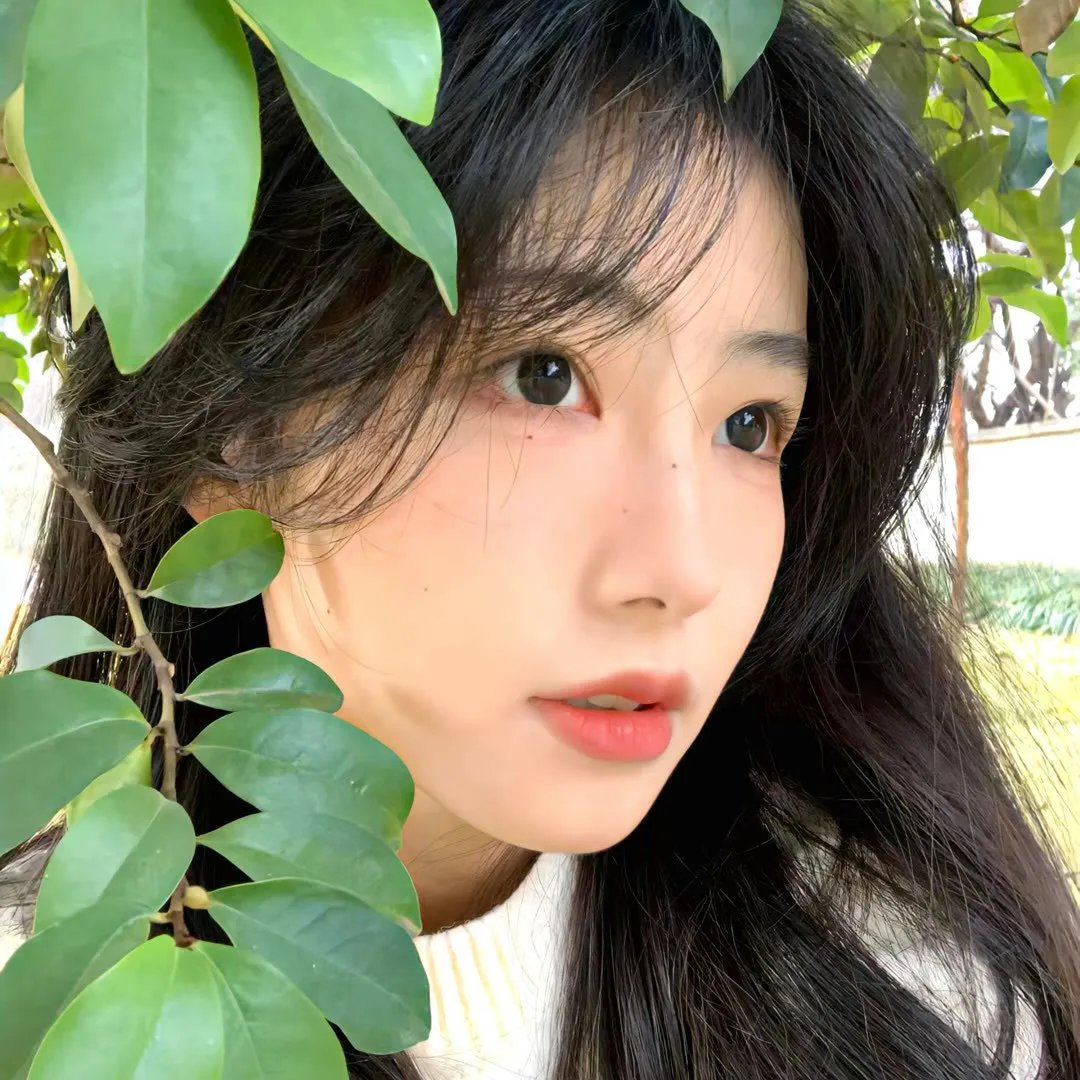 她们,他们